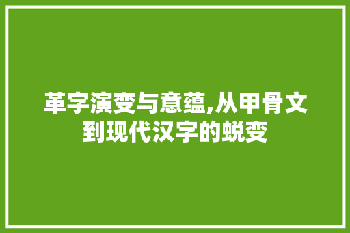 革字演变与意蕴,从甲骨文到现代汉字的蜕变