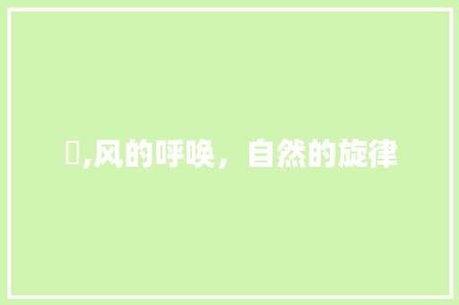 飍,风的呼唤，自然的旋律 商业文稿