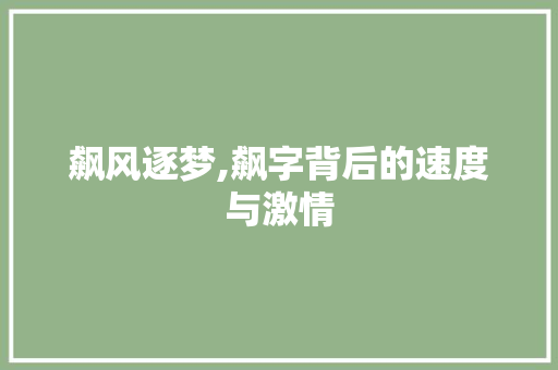 飙风逐梦,飙字背后的速度与激情