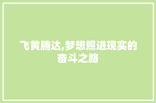 飞黄腾达,梦想照进现实的奋斗之路