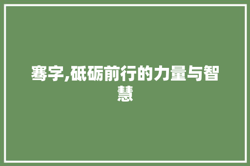 骞字,砥砺前行的力量与智慧