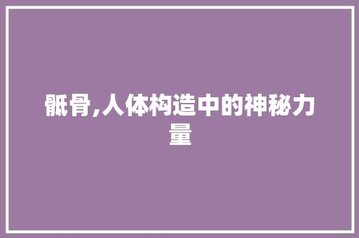 骶骨,人体构造中的神秘力量
