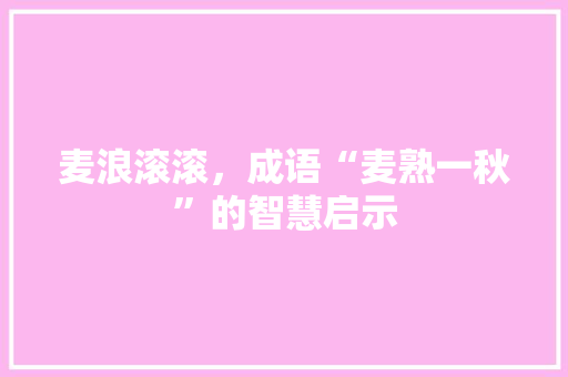 麦浪滚滚，成语“麦熟一秋”的智慧启示