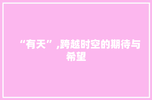 “有天”,跨越时空的期待与希望