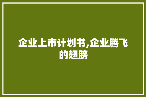 企业上市计划书,企业腾飞的翅膀
