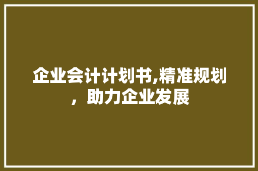 企业会计计划书,精准规划，助力企业发展