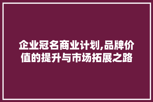 企业冠名商业计划,品牌价值的提升与市场拓展之路