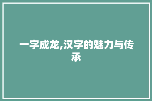 一字成龙,汉字的魅力与传承