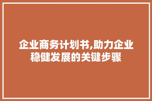 企业商务计划书,助力企业稳健发展的关键步骤