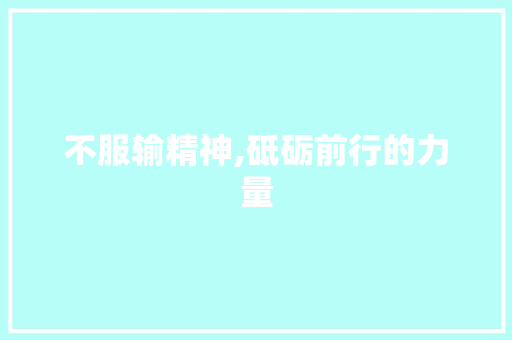 不服输精神,砥砺前行的力量