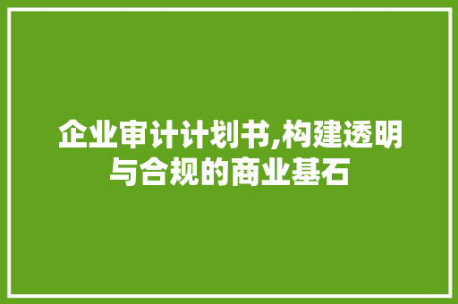 企业审计计划书,构建透明与合规的商业基石
