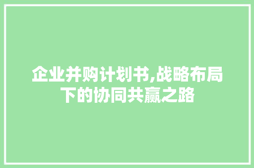 企业并购计划书,战略布局下的协同共赢之路
