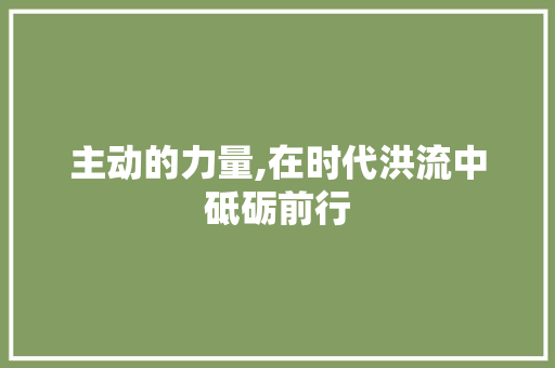 主动的力量,在时代洪流中砥砺前行