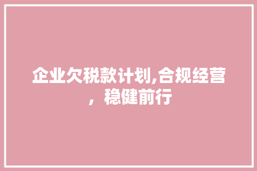 企业欠税款计划,合规经营，稳健前行