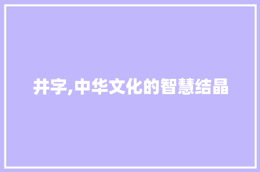 井字,中华文化的智慧结晶