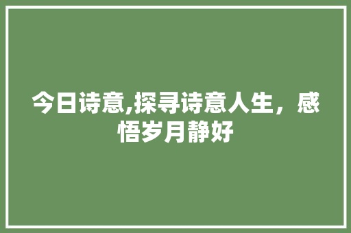 今日诗意,探寻诗意人生，感悟岁月静好