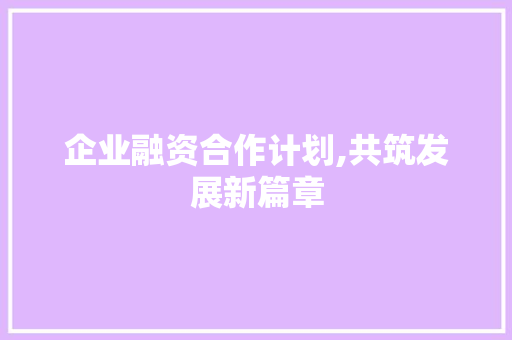 企业融资合作计划,共筑发展新篇章