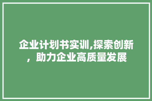 企业计划书实训,探索创新，助力企业高质量发展