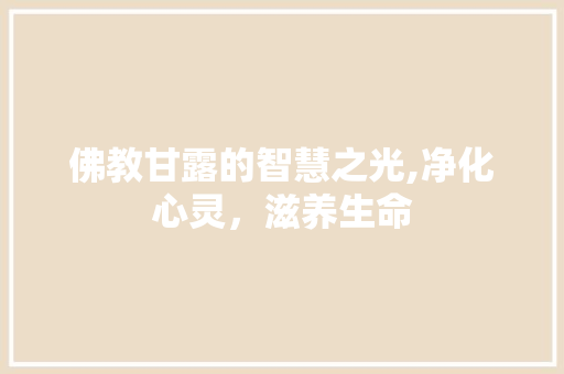 佛教甘露的智慧之光,净化心灵，滋养生命