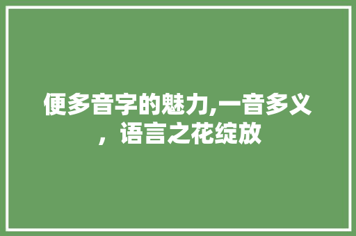 便多音字的魅力,一音多义，语言之花绽放
