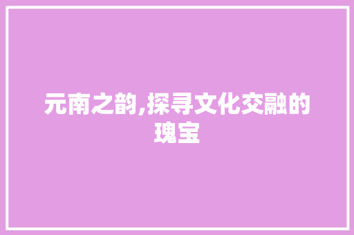 元南之韵,探寻文化交融的瑰宝