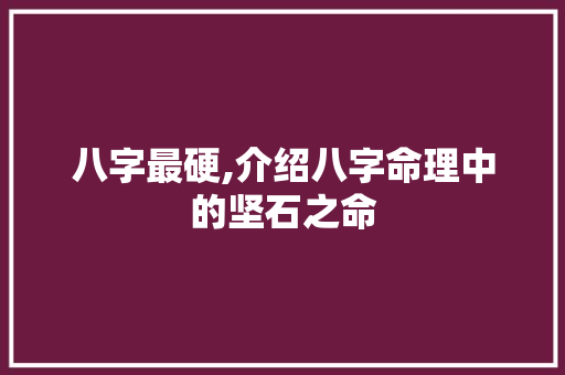 八字最硬,介绍八字命理中的坚石之命