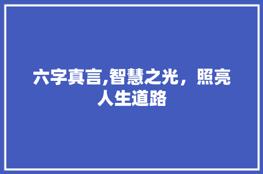 六字真言,智慧之光，照亮人生道路
