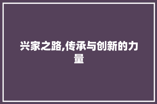 兴家之路,传承与创新的力量