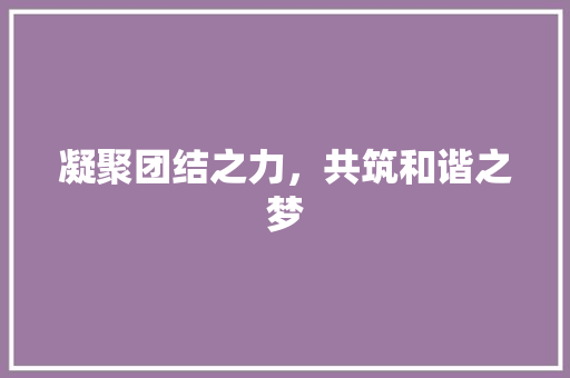 凝聚团结之力，共筑和谐之梦