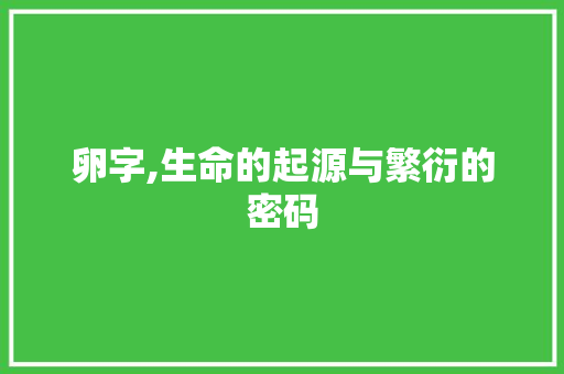 卵字,生命的起源与繁衍的密码