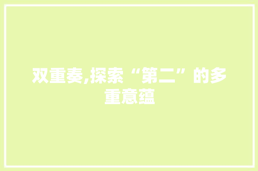 双重奏,探索“第二”的多重意蕴