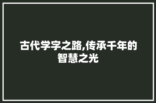 古代学字之路,传承千年的智慧之光