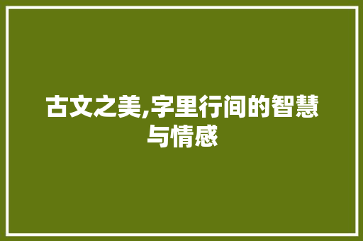 古文之美,字里行间的智慧与情感