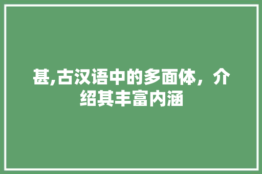 甚,古汉语中的多面体，介绍其丰富内涵