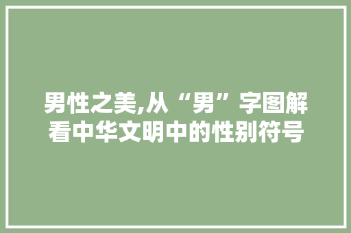 男性之美,从“男”字图解看中华文明中的性别符号