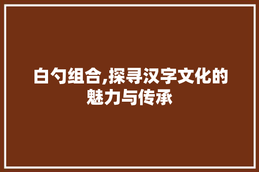 白勺组合,探寻汉字文化的魅力与传承