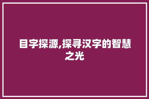目字探源,探寻汉字的智慧之光