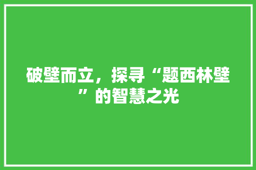 破壁而立，探寻“题西林壁”的智慧之光