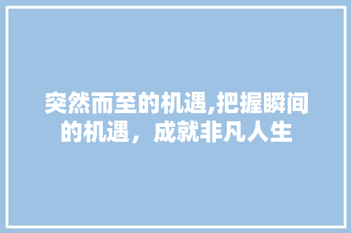 突然而至的机遇,把握瞬间的机遇，成就非凡人生
