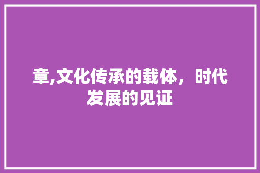 章,文化传承的载体，时代发展的见证