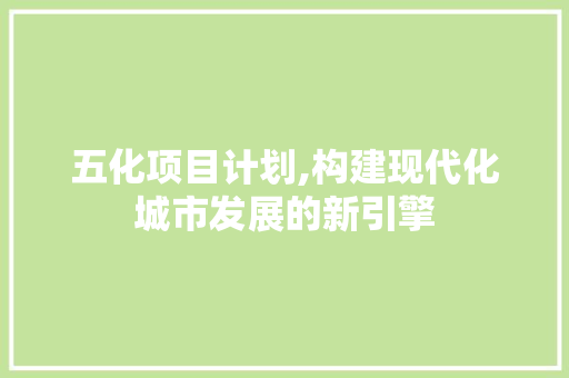 五化项目计划,构建现代化城市发展的新引擎