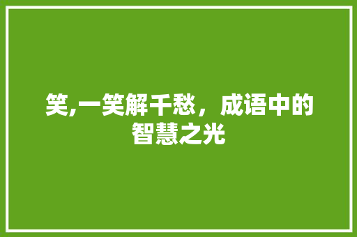 笑,一笑解千愁，成语中的智慧之光
