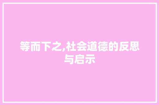 等而下之,社会道德的反思与启示