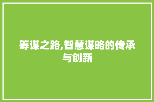 筹谋之路,智慧谋略的传承与创新 生活感悟