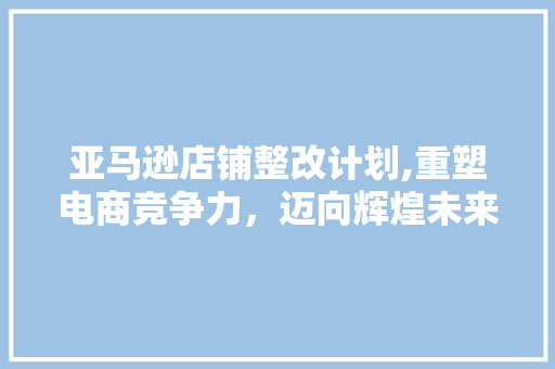 亚马逊店铺整改计划,重塑电商竞争力，迈向辉煌未来