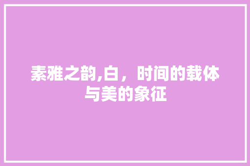 素雅之韵,白，时间的载体与美的象征 生活类