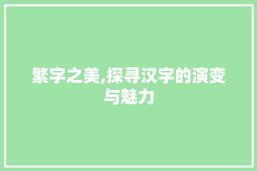 繁字之美,探寻汉字的演变与魅力