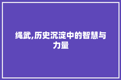 绳武,历史沉淀中的智慧与力量