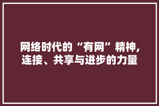 网络时代的“有网”精神,连接、共享与进步的力量 商业文稿