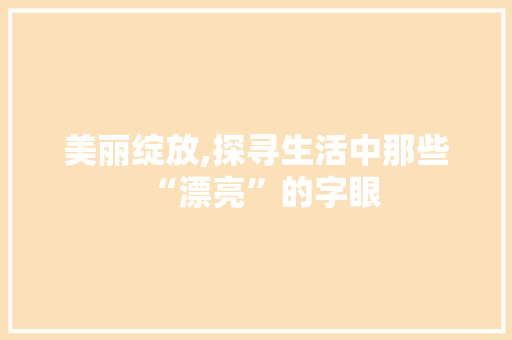美丽绽放,探寻生活中那些“漂亮”的字眼